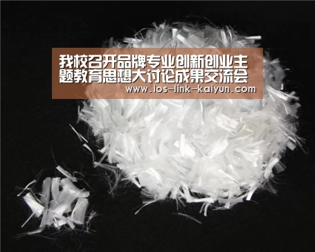 我校召开品牌专业创新创业主题教育思想大讨论成果交流会-开云体育首页(图1) 开元棋牌