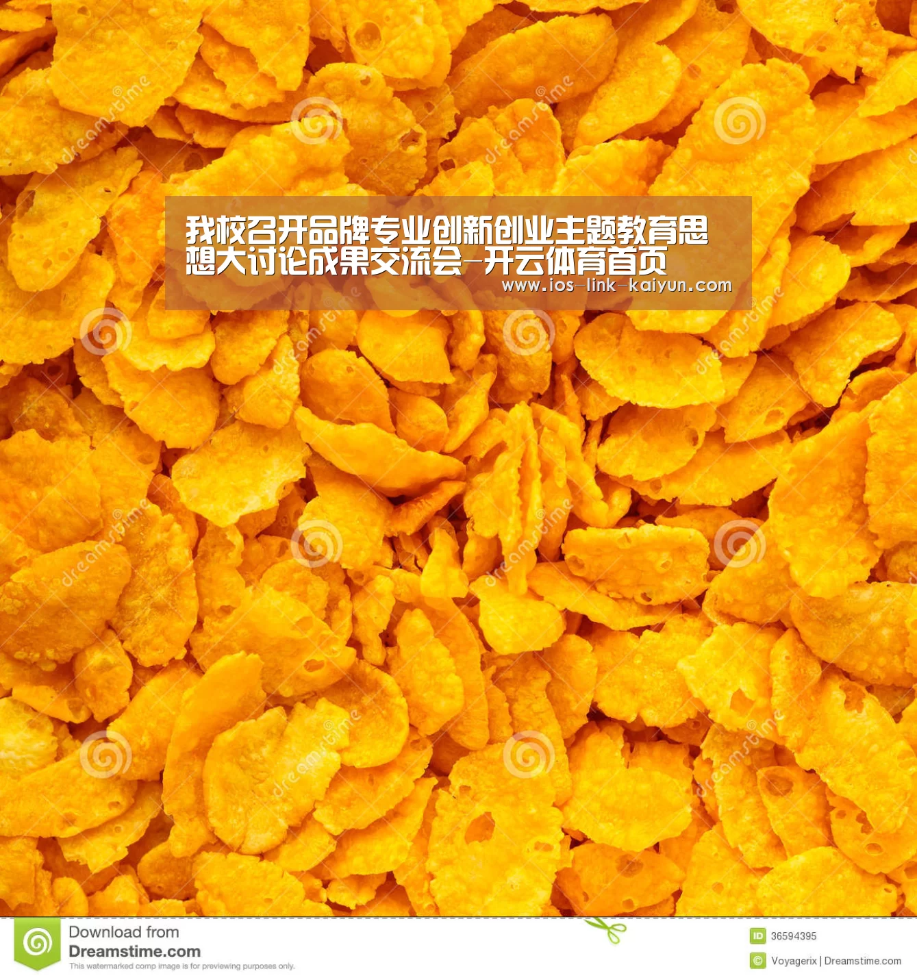 我校召开品牌专业创新创业主题教育思想大讨论成果交流会-开云体育首页(图2) 开云体育首页