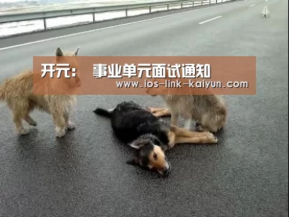 开元:
事业单元面试通知(图3) 开元